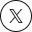 x icon